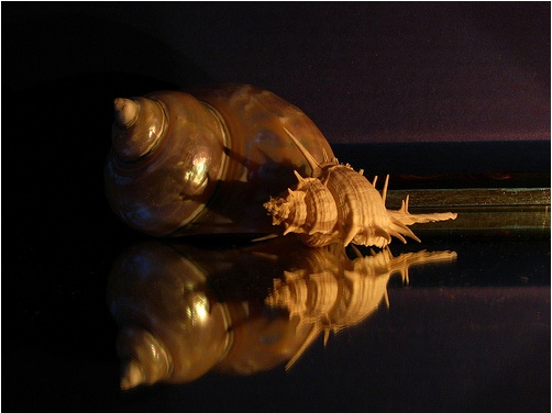 uploaded_image